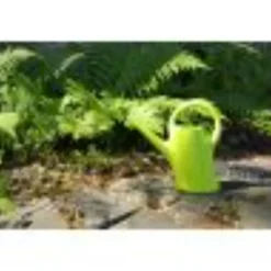 Evergreen kastelukannu 2L, Lime