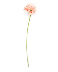 Gerbera tekokukka 57cm