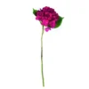 Hortensia tekokukka