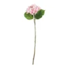 Hortensia vaaleanpunainen