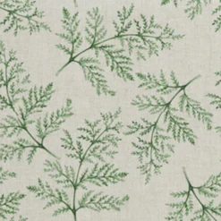 Kerniliina 140cm saniainen