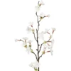 Kirsikankukka oksa valkoinen 60cm