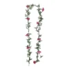 Köynnös Verbena pinkki 180cm
