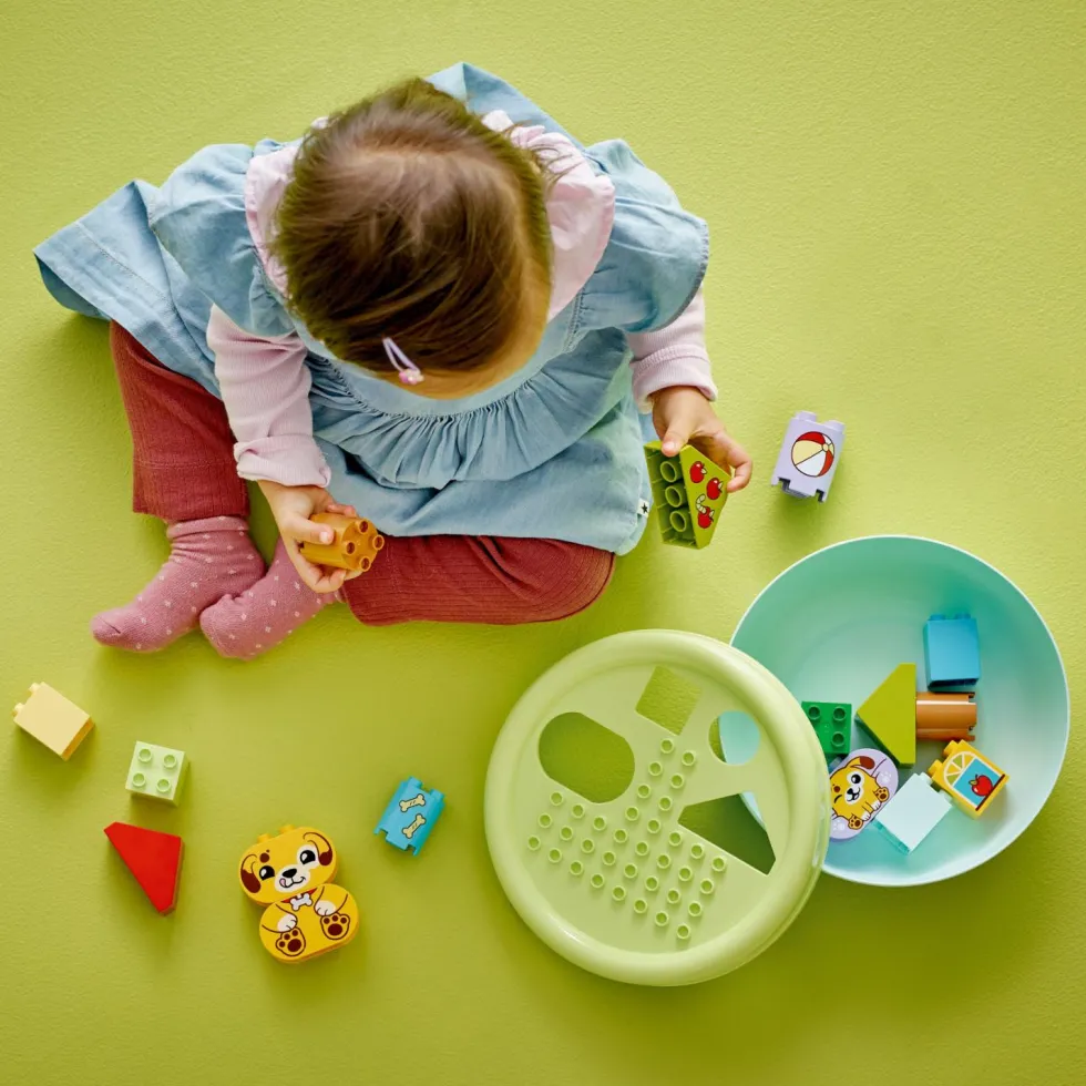 Lego® Duplo®10441 Opetellaan muotoja: Koiranpentujen talo