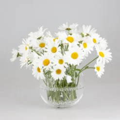 Maljakko 14cm
