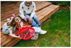 Marjanpuhdistaja kaatoreunoilla