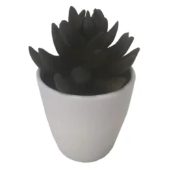 Mehikasvi valkoisessa ruukussa 15cm