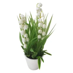 Minikukka ruukussa valkoinen 20cm