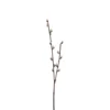 Pajunkissaoksa 57cm