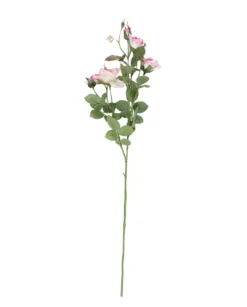 Ruusu royal 75cm, pinkki