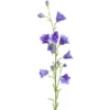 Sinikello oksa sininen 65cm