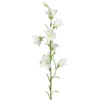 Sinikello oksa valkoinen 65cm