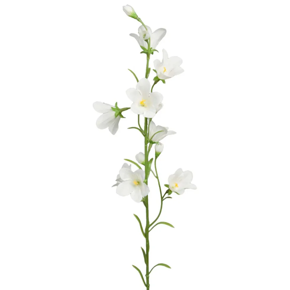 Sinikello oksa valkoinen 65cm