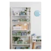 SmartStore™ Essence Slim säilytyskori 1,3 L vihreä