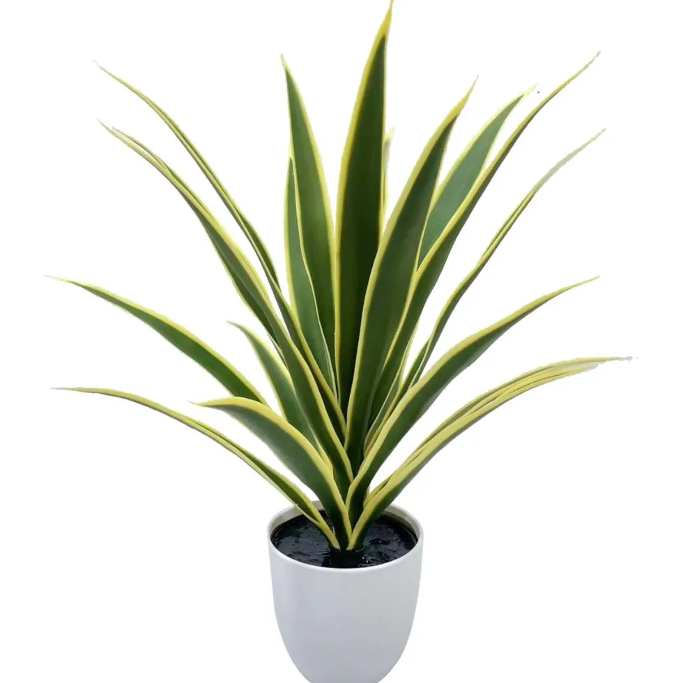 Tekokasvi Anopinkieli ruukussa 57cm