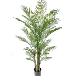 Tekokasvi Areca-palmu 180cm