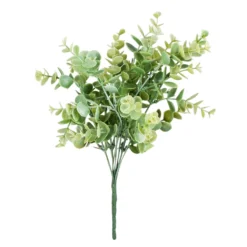 Tekokasvi Eucalyptus kimppu