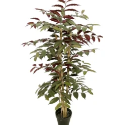 Tekokasvi fiikus 120cm