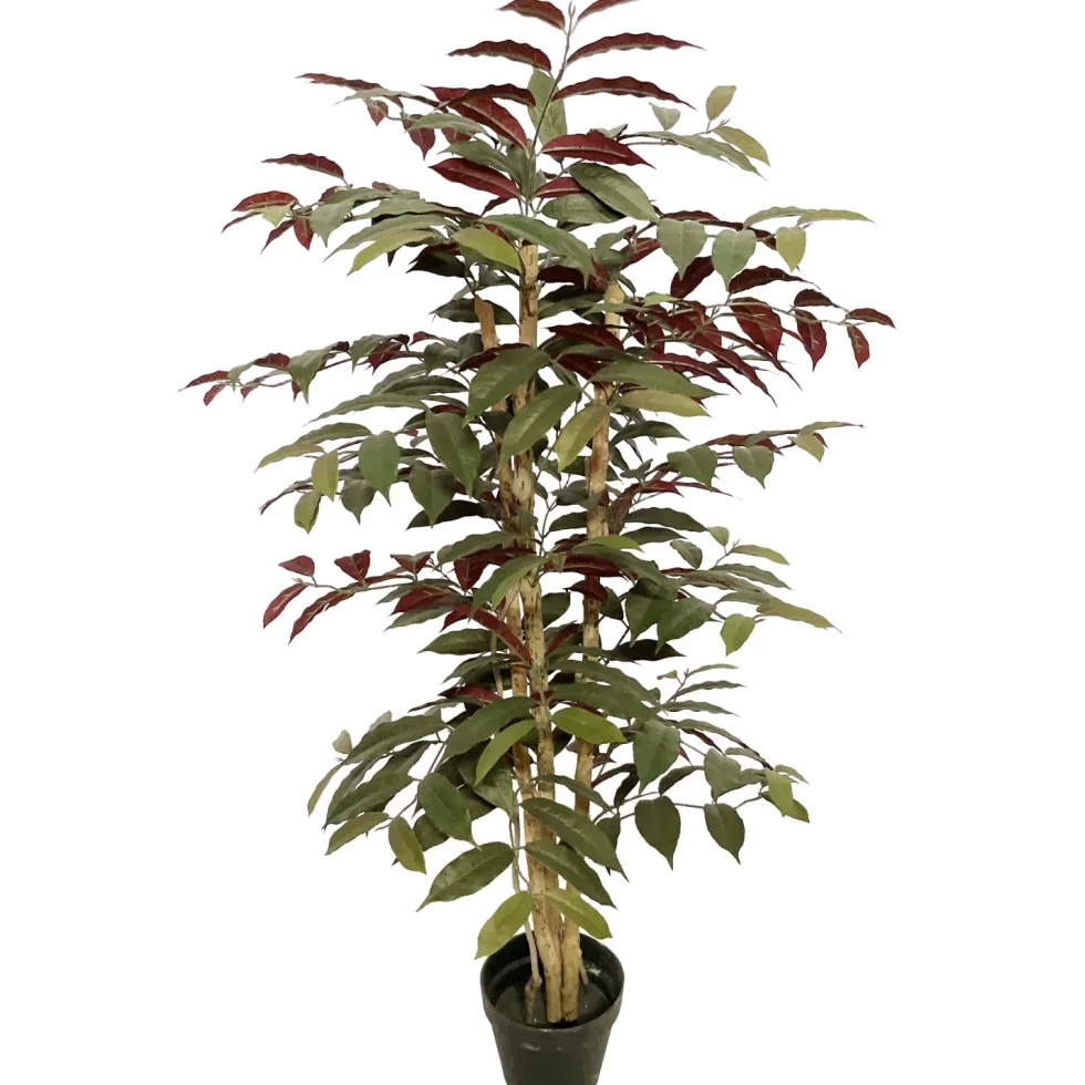 Tekokasvi fiikus 120cm