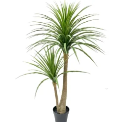 Tekokasvi Jukkapalmu120cm