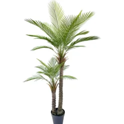 Tekokasvi Käpypalmu 190cm