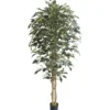 Tekokasvi Limoviikuna 210cm