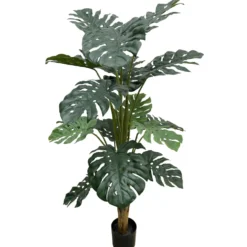 Tekokasvi Peikonlehti 150cm