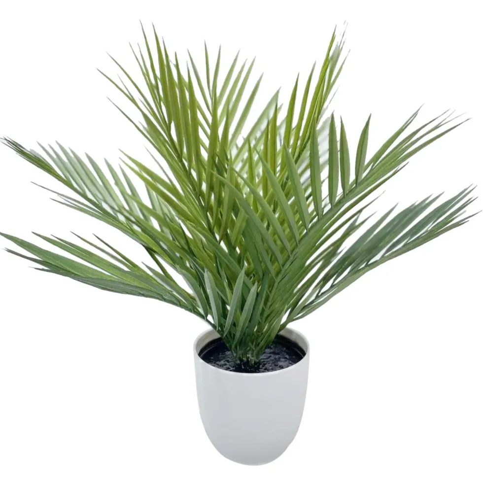 Tekokasvi Pikkupalmu ruukussa 50cm