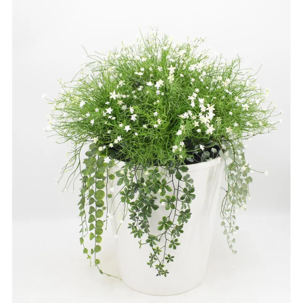 Tekokukka-asetelma valkoinen 63cm