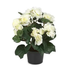 Tekokukka Begonia ruukussa 28cm valkoinen