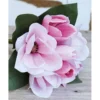 Tekokukka Magnolia kimppu