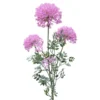 Tekokukka Ukonputki pinkki