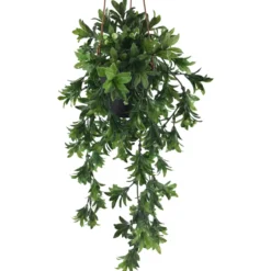 Viherkasvi ruukussa riippuva 48cm 6 eril