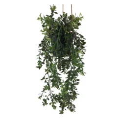 Viherkasvi ruukussa riippuva 48cm 6 eril