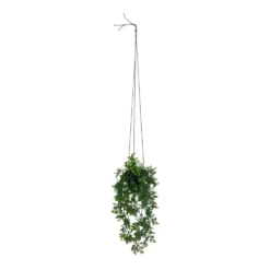 Viherkasvi ruukussa riippuva 48cm 6 eril