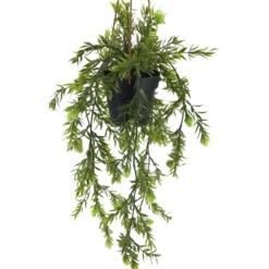 Viherkasvi ruukussa riippuva 48cm 6 eril